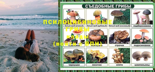 MESCALINE Покачи