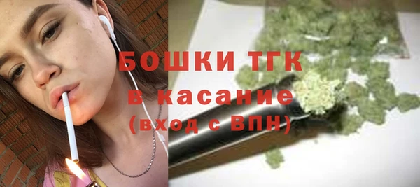 ешки Алексин