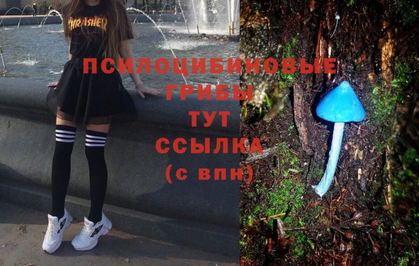тгк Покров