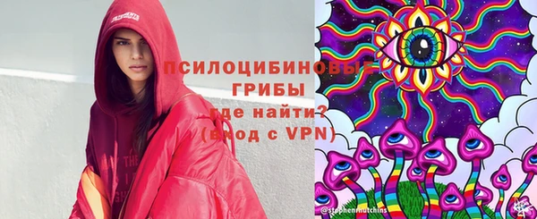 ешки Алексин